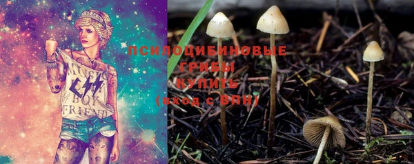 мдпв Зерноград