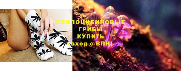 индика Абдулино